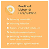 PASCOE Vitapas C Liposomal, 90 Capsules
