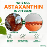 ASTADAILY All-in-One Formula (60 Softgels)