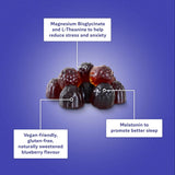 KaLaya Vegan Blueberry Sleep & Relaxation Gummies (60 Gummies)