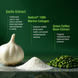 BELL Blood Pressure Formulation