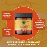PURE LAB VITAMINS L-Glutamine Pure Powder - Additive Free (300 g)