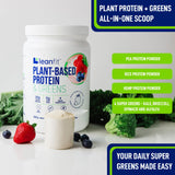 LEANFIT Plant-Based Protein & Greens (Berry -  533 gr)