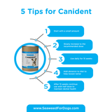 Canident - Clean Dogs Teeth (150 gr)