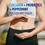 LEANFIT Collagen & Gut (Unflavoured - 250 gr)
