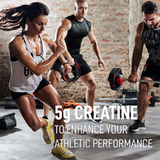 LEANFIT Creatine Monohydrate (Unflavoured - 300 gr)