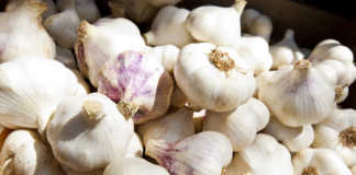 The Powerful Properties of Garlic