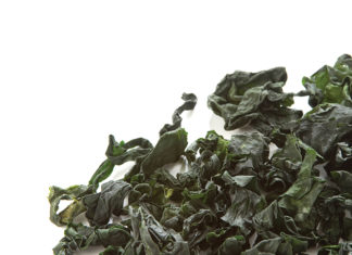 Sea Vegetables