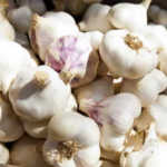 garlic