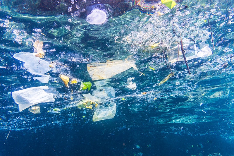 Single-use plastics are a waste