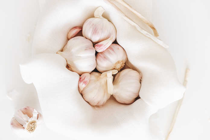 garlic to boost immune health