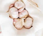 Garlic-Immune-Booster-230×125