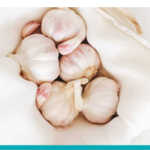 Garlic-Immune-Booster-400×210