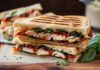 Focaccia Panini with Oven-Dried Tomato & Chicken: A Staff Favorite Revealed