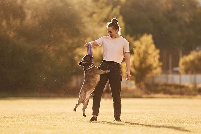 Paws and Summer Pawsibilities: Keeping Your Dog Safe This Season